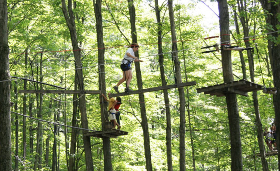 ARBRE AVENTURE